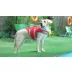 Kuoser High Flotation Dog Floation Aid with Rescue Handle for Swimming & Boating video thumbnail 7