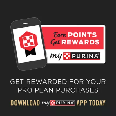Product Purina® Pro Plan Sport Performance 30/20 All Life Stages Dry Dog Food - Chicken & Rice, High-Protein