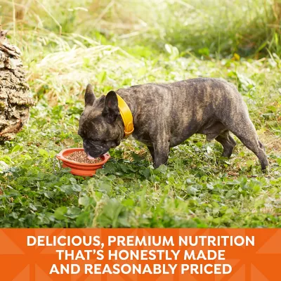 Petsmart nature's recipe dog food best sale