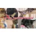 Inaba Churu Lickable Cat Treat - Tuna Variety Pack video thumbnail 10