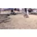 KONG Jumbler Ball Assorted XL video thumbnail 8