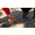 KONG Flexball Sport Ball XL Dog Toy video thumbnail 8