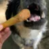 Rollover Wheat Free Salmon Stuffed California Wraps Dog Treats 4pk video thumbnail 4