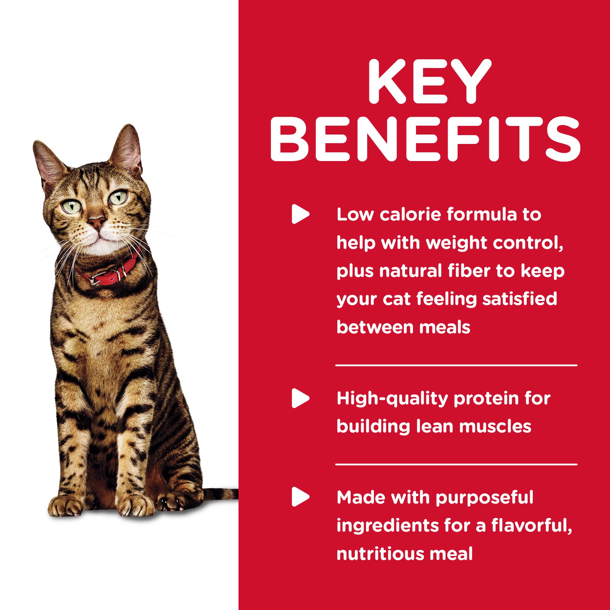 science diet light cat food