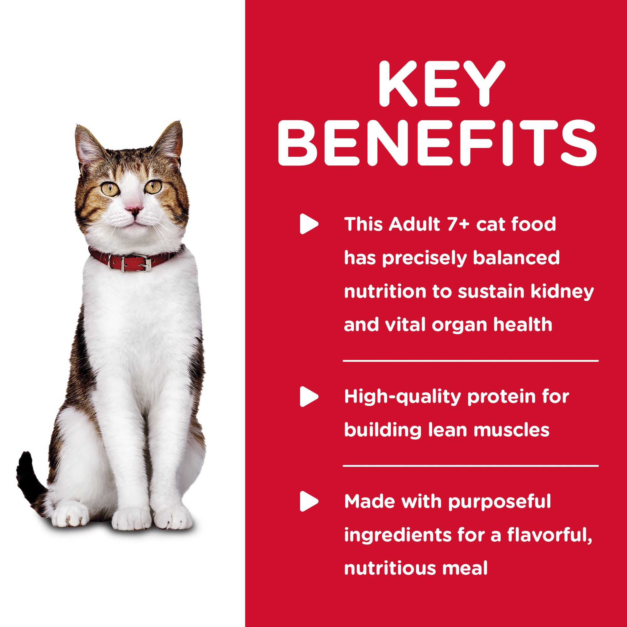 science diet senior wet cat food