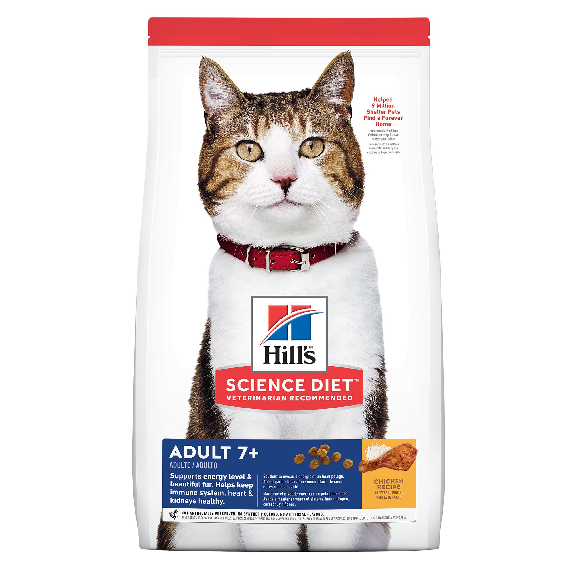 Senior hotsell cat nutrition