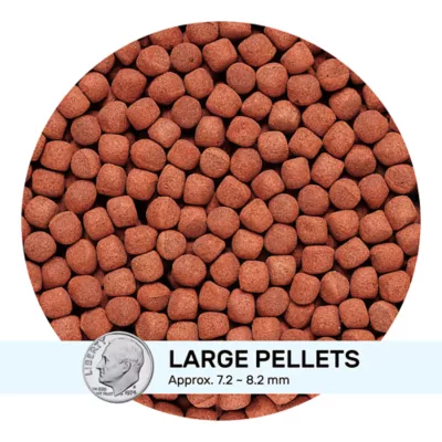 Hikari® Cichlid Gold® Fish Food - Image 3