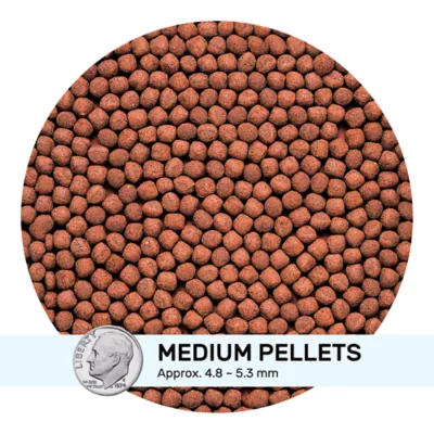 Hikari® Cichlid Gold® Fish Food - Image 3