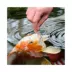 Tetra® TetraPond Koi Vibrance Fish Food image thumbnail 4