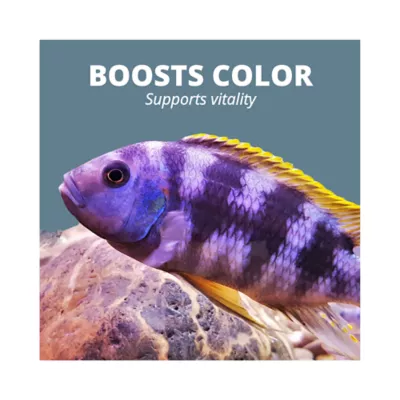 Product Tetra® TetraCichlid Sticks Fish Food