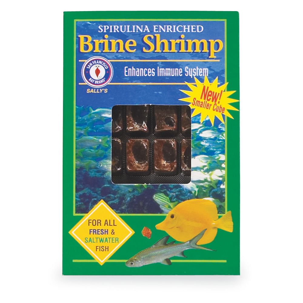 Baby brine 2025 shrimp petsmart