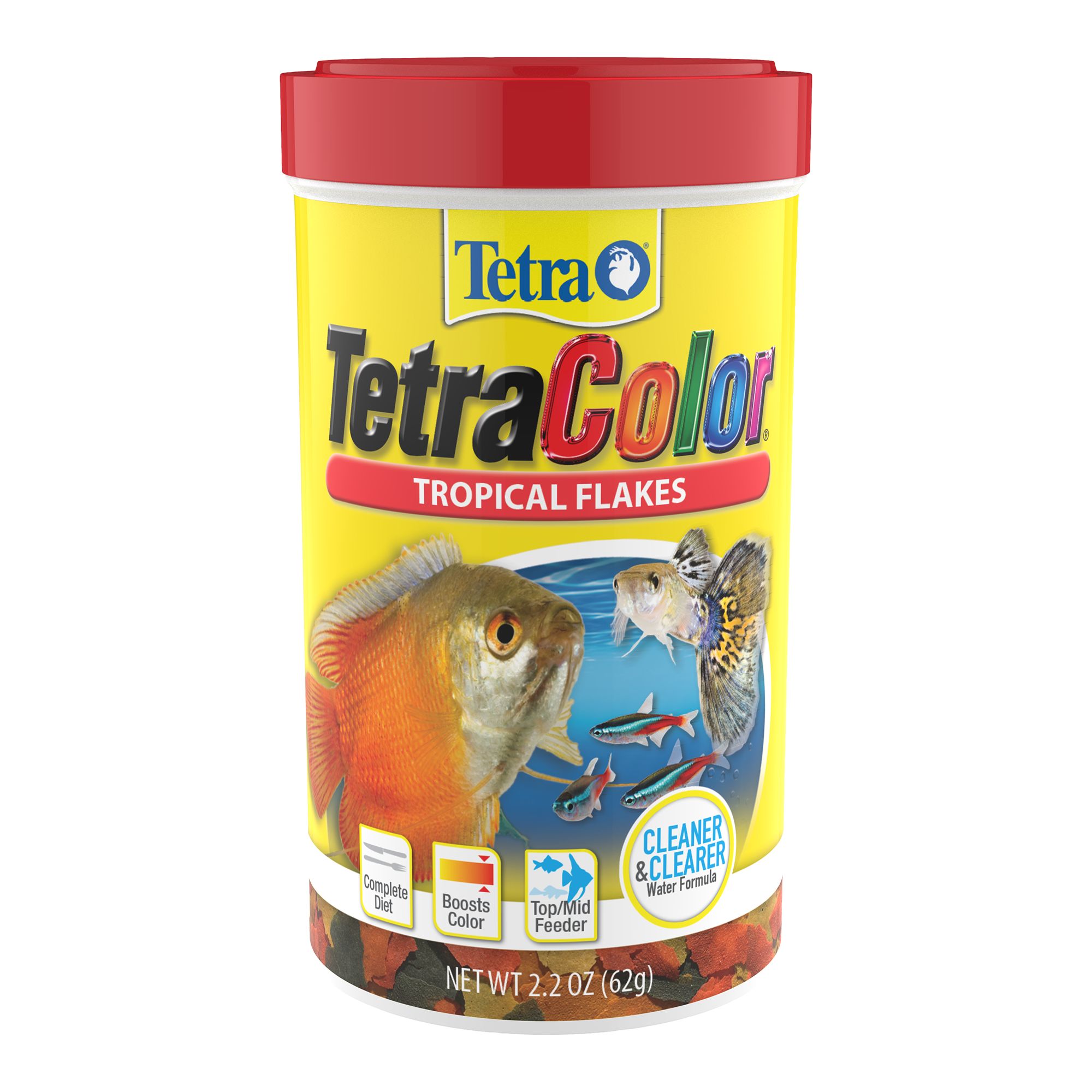 tetra fish food