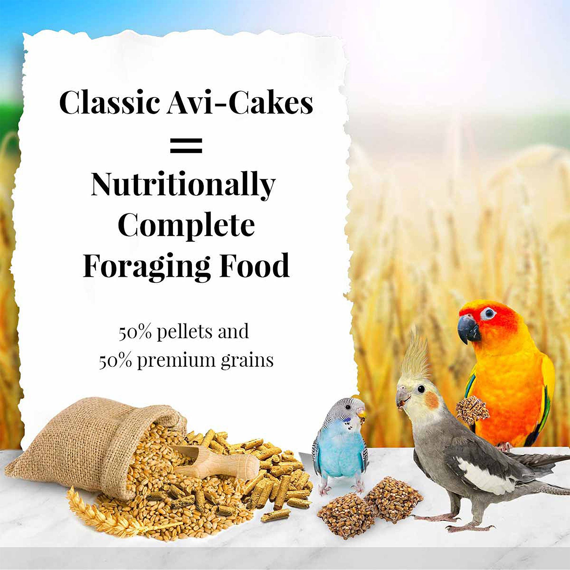 AVI CAKES PARROT 12 OZ – Leckerli-Kuchen Für Vögel, Aus Samen & Pellets Mit Melasse