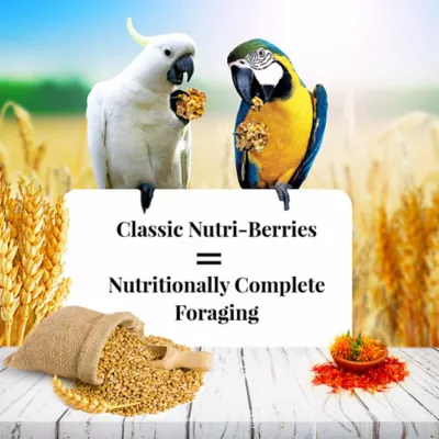 Product Lafeber's® Nutri-Berries Macaw and Cockatoo Food