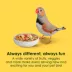 KAYTEE® Fiesta Canary & Finch Food image thumbnail 3