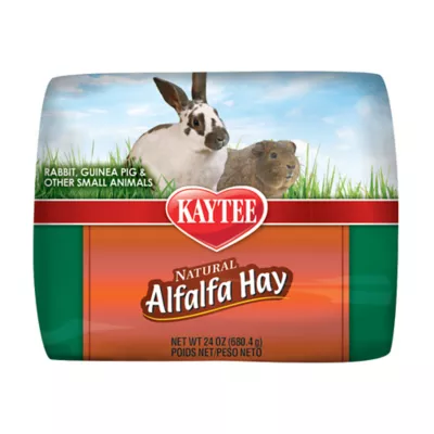 Product KAYTEE® All Natural Alfalfa Hay Mini Bale