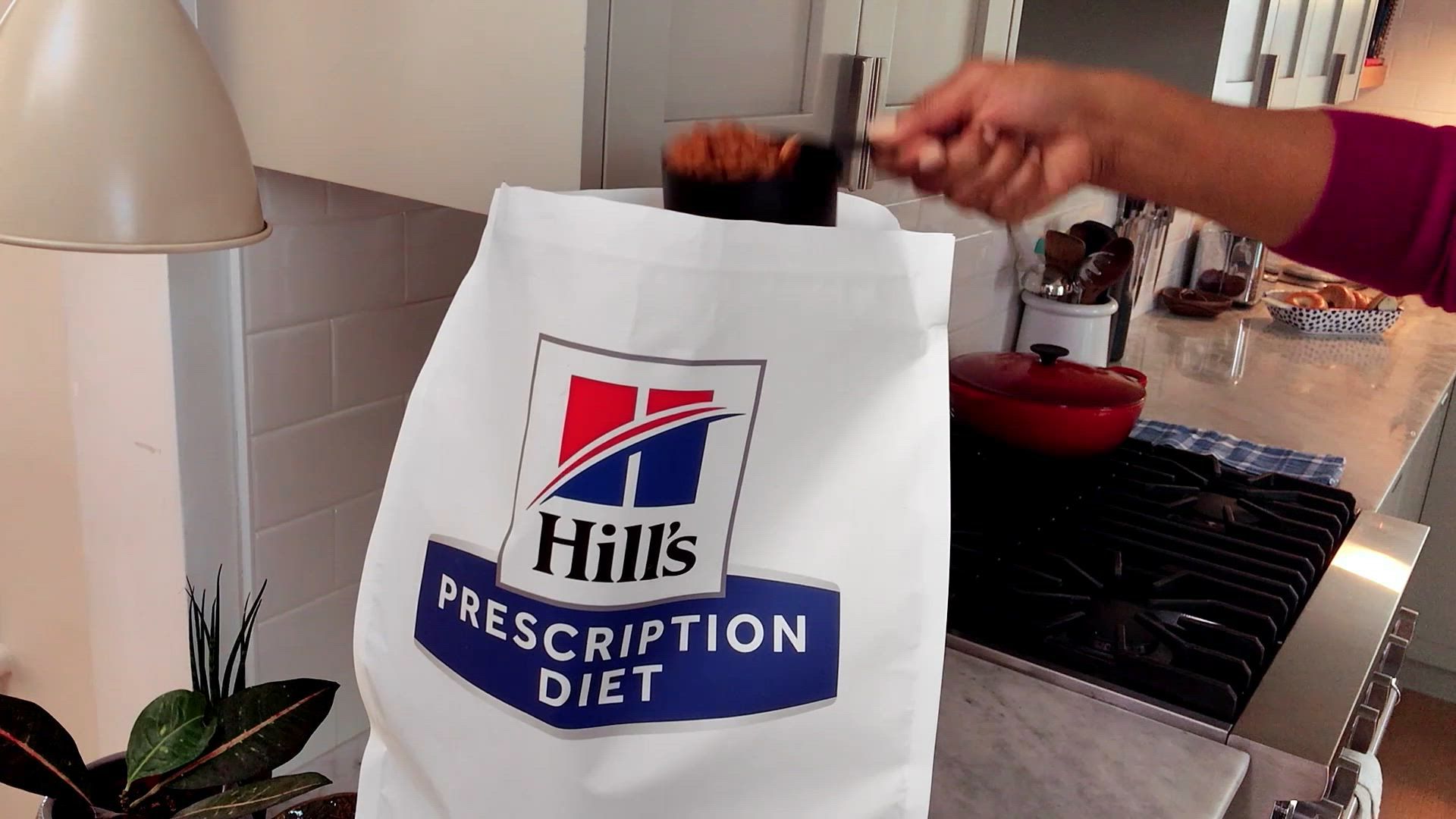 Hill's® Prescription Diet® z/d Skin/Food Sensitivities Cat Food
