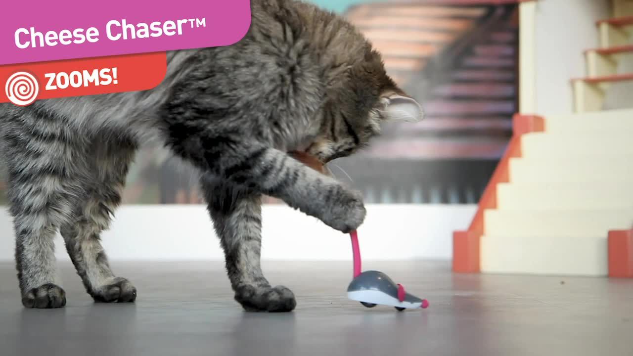 remote mouse cat toy