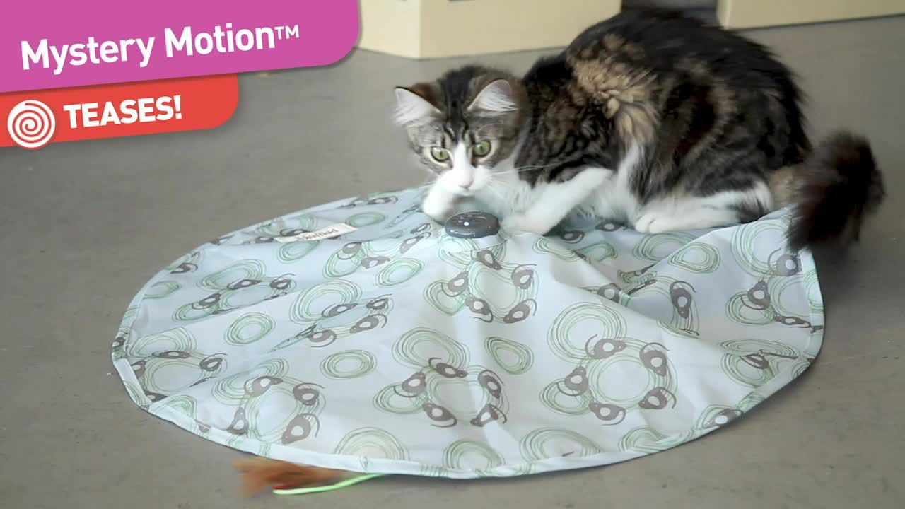 motion cat toy