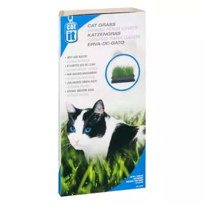 Product Catit® Cat Grass