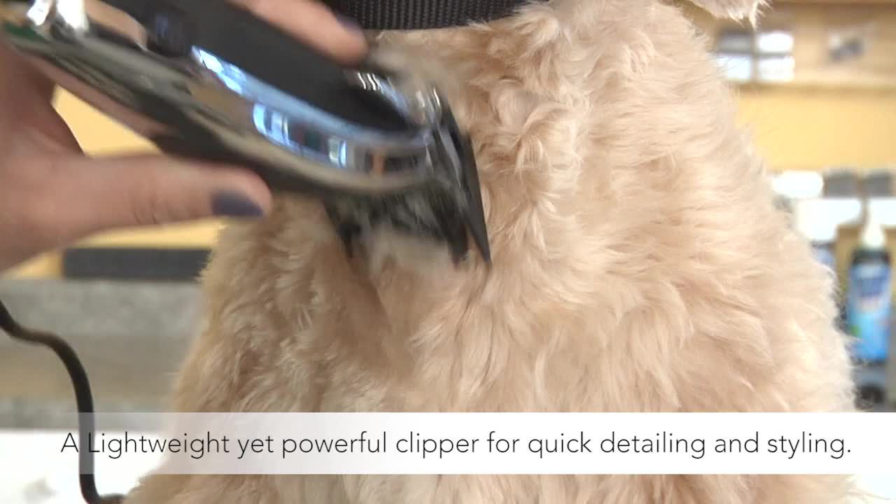 andis easy clip whisper pet clipper kit