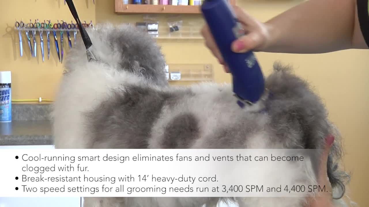 petsmart dog grooming clippers