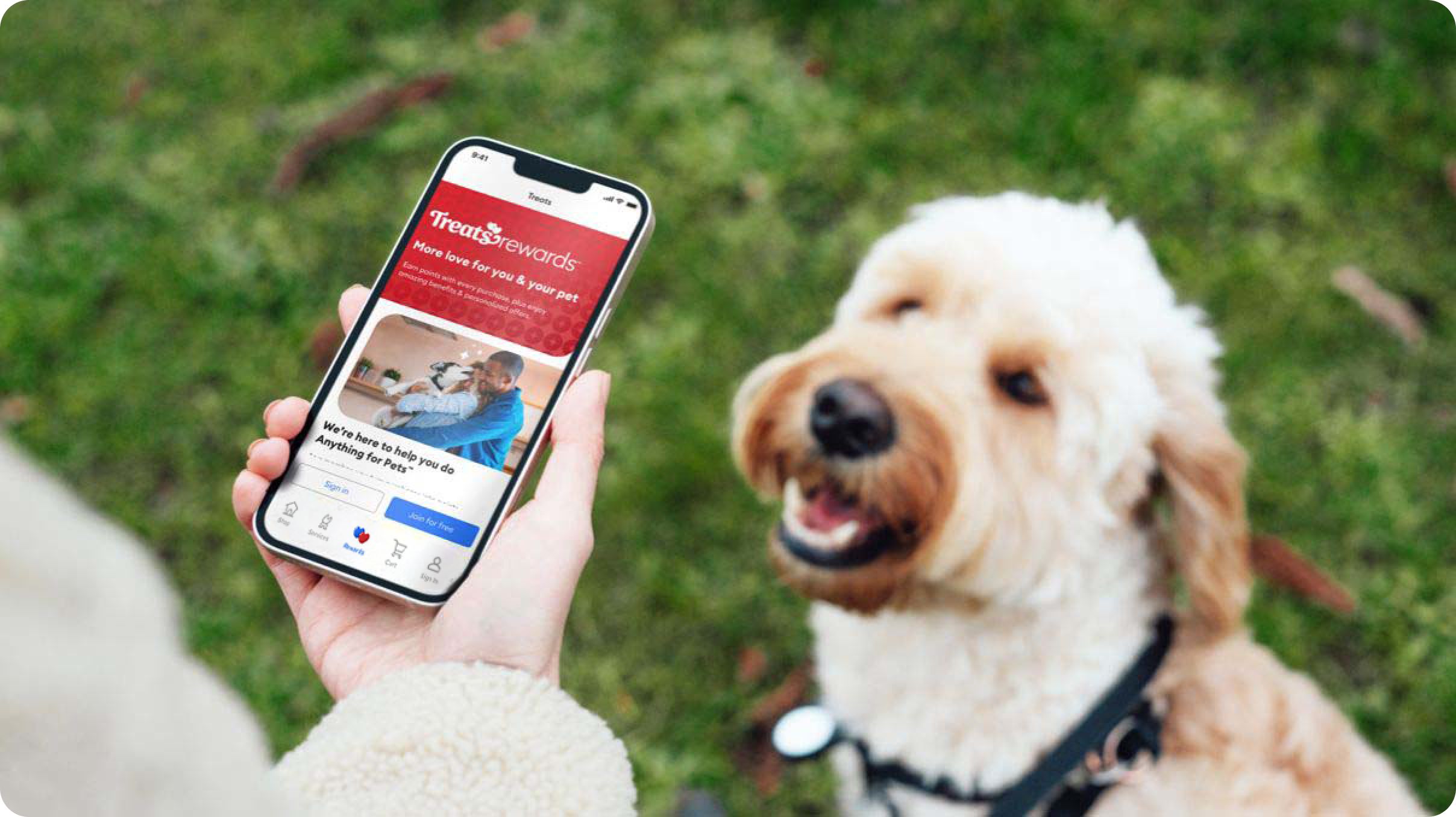 Rewards phone image with Doodle dog