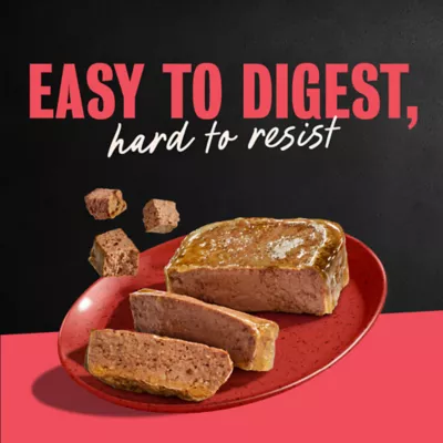 Cesar® Classics  Adult Wet Dog Food - Loaf, 3.5 Oz. - Image 9
