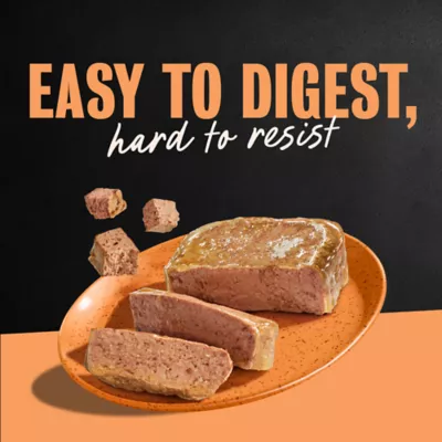 Cesar® Classics  Adult Wet Dog Food - Loaf, 3.5 Oz. - Image 9
