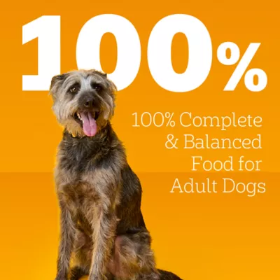 Product Pedigree® Choice Cuts in Gravy Adult Wet Dog Food - 13.2 Oz.