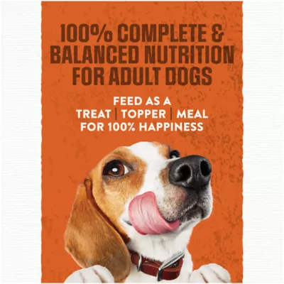 Purina moist dog food best sale