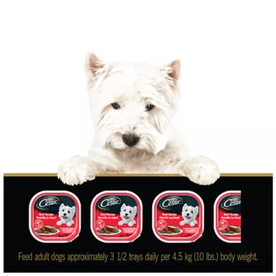 Product Cesar Entrées Classic Loaf in Sauce Adult Dog Wet Food - Beef