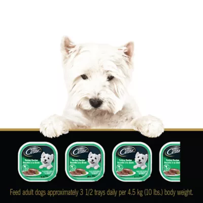 Product Cesar Entrées Classic Loaf in Sauce Adult Dog Wet Food - Turkey