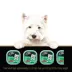 Cesar Entrées Classic Loaf in Sauce Adult Dog Wet Food - Turkey image thumbnail 2