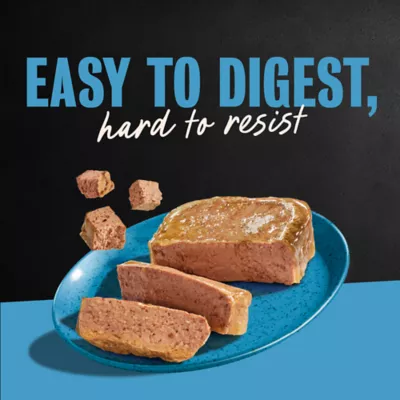 Cesar® Classics  Adult Wet Dog Food - Loaf, 3.5 Oz. - Image 9
