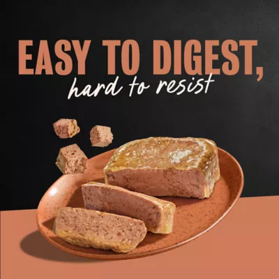 Cesar® Classics  Adult Wet Dog Food - Loaf, 3.5 Oz. - Image 9