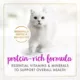 Product Fancy Feast® Classic Pate Adult Wet Cat Food - 3 oz