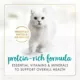 Product Fancy Feast® Classic Pate Adult Wet Cat Food - 3 oz