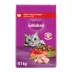 Whiskas Adult Dry Cat Food Meaty Selections With Real Chicken image thumbnail 1