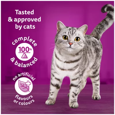 Product Whiskas Meaty Selections Adult Dry Cat Food with Real Chicken