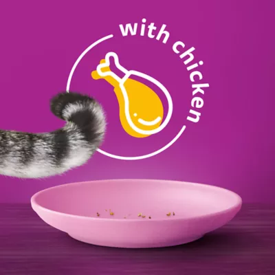 Product Whiskas Adult Dry Cat Food Meaty Selections With Real Chicken