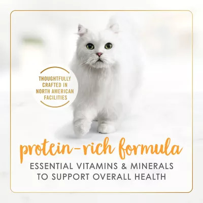 Product Fancy Feast® Chunks Wet Cat Food