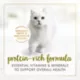 Product Fancy Feast® Paté Cat Food