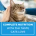 Purina® Cat Chow® Advanced Nutrition Adult Cat Food image thumbnail 6