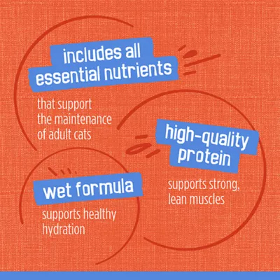 Product Friskies® All Life Stages Cat Wet Food - 6.04 oz.