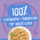 Product Purina® Friskies®  All Life Stages Cat Wet Food - 6.04 oz.