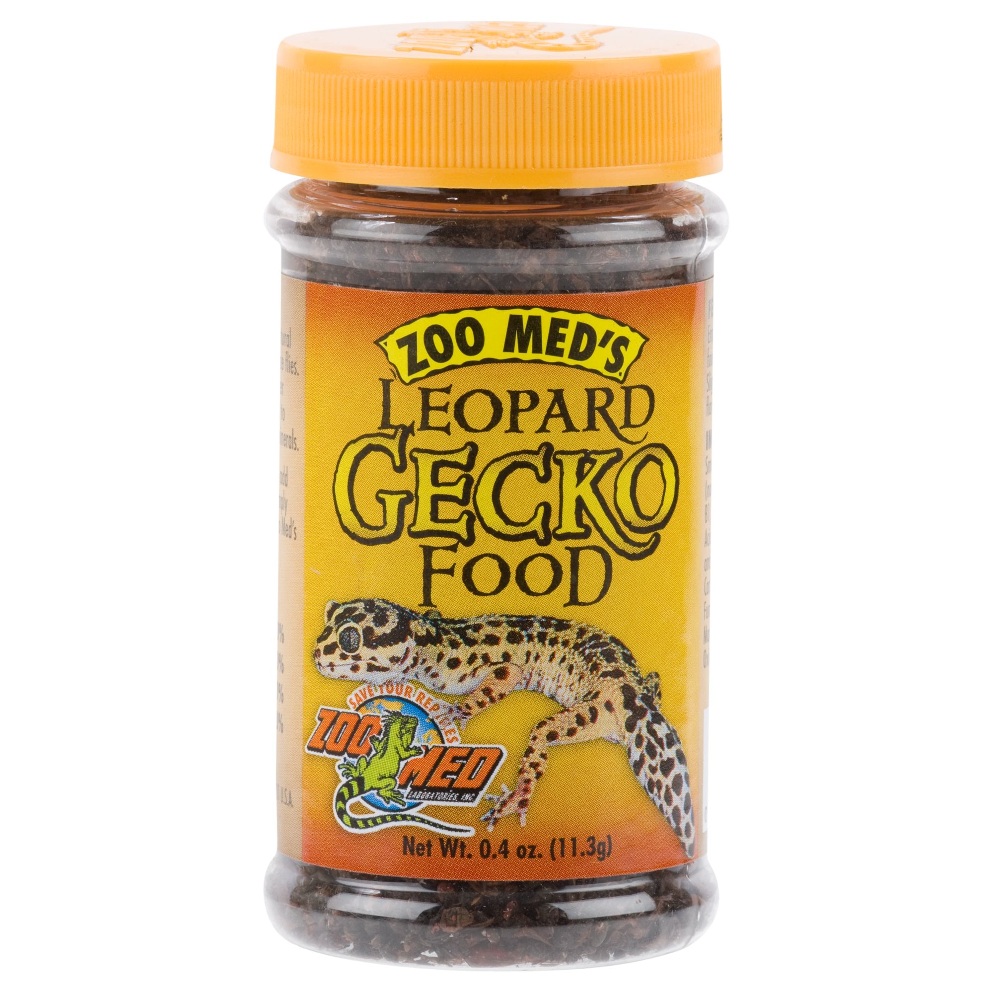 gecko food