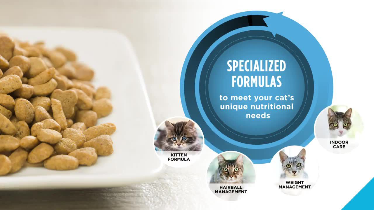 Purina Pro Plan Focus Cat Food Reviews