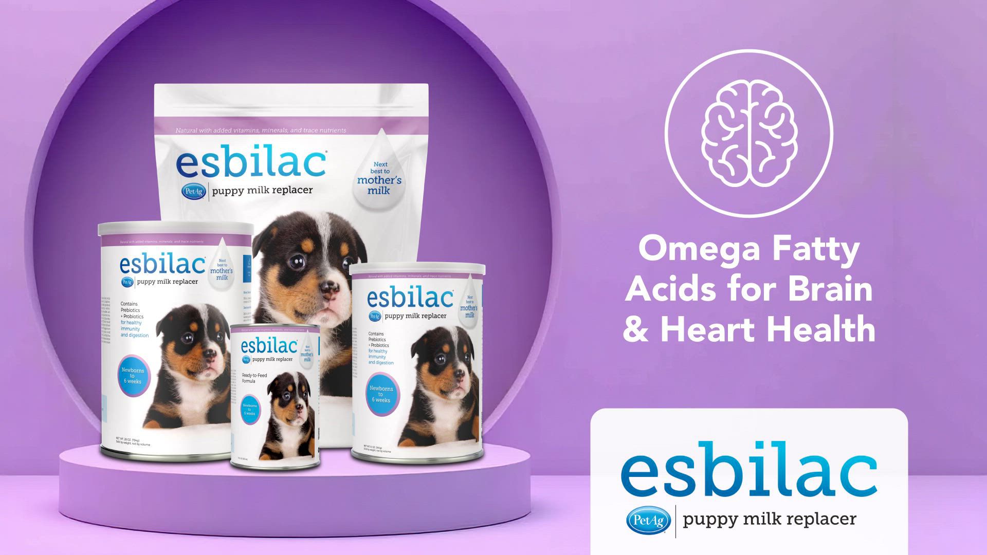 Esbilac petsmart best sale