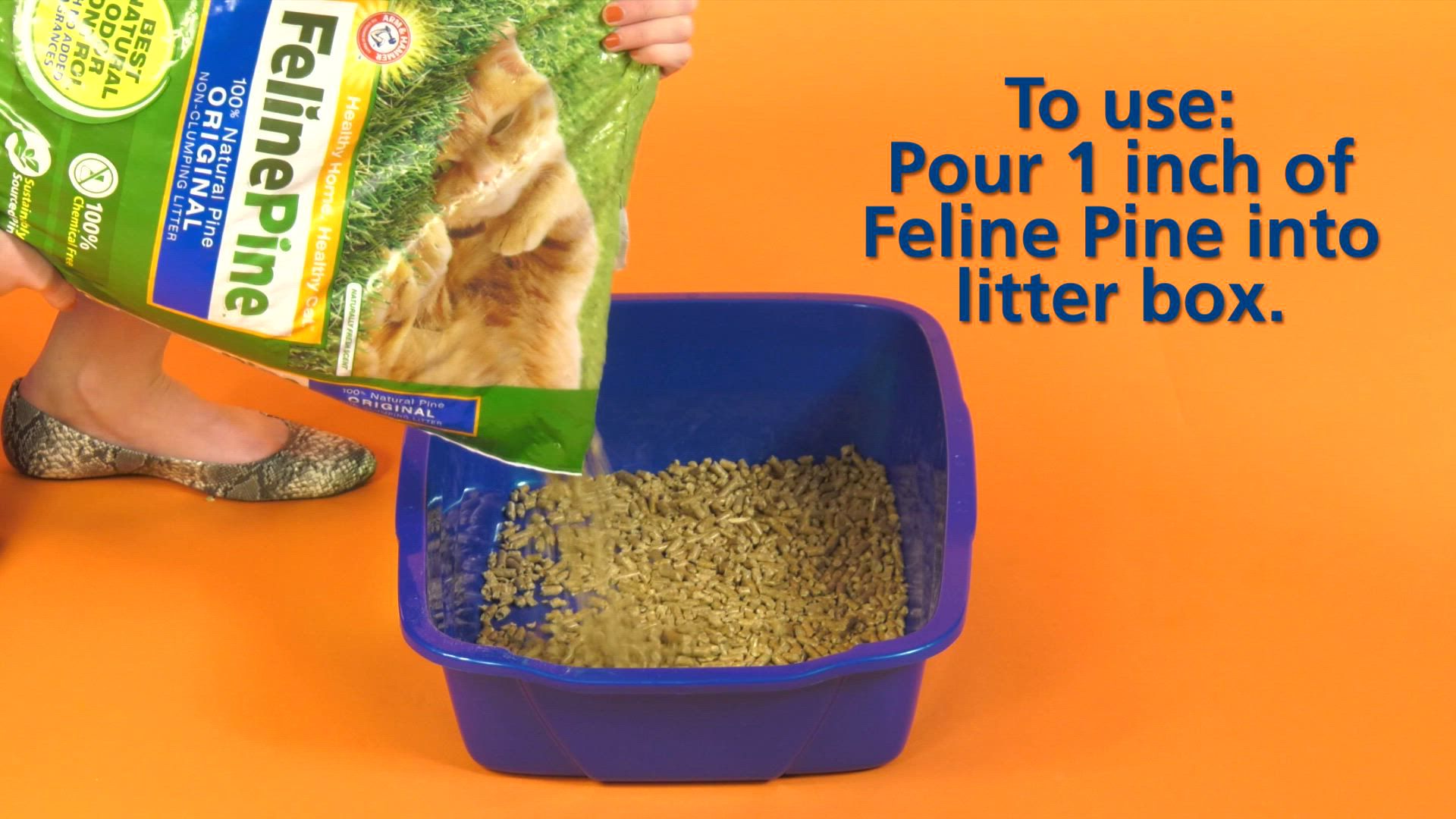 Feline pine cat litter box hotsell